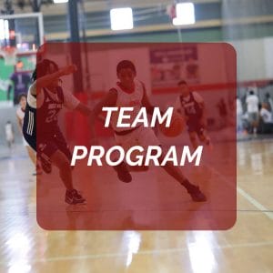 Top Achievers Lions Program (Per Session) 2 Team Program